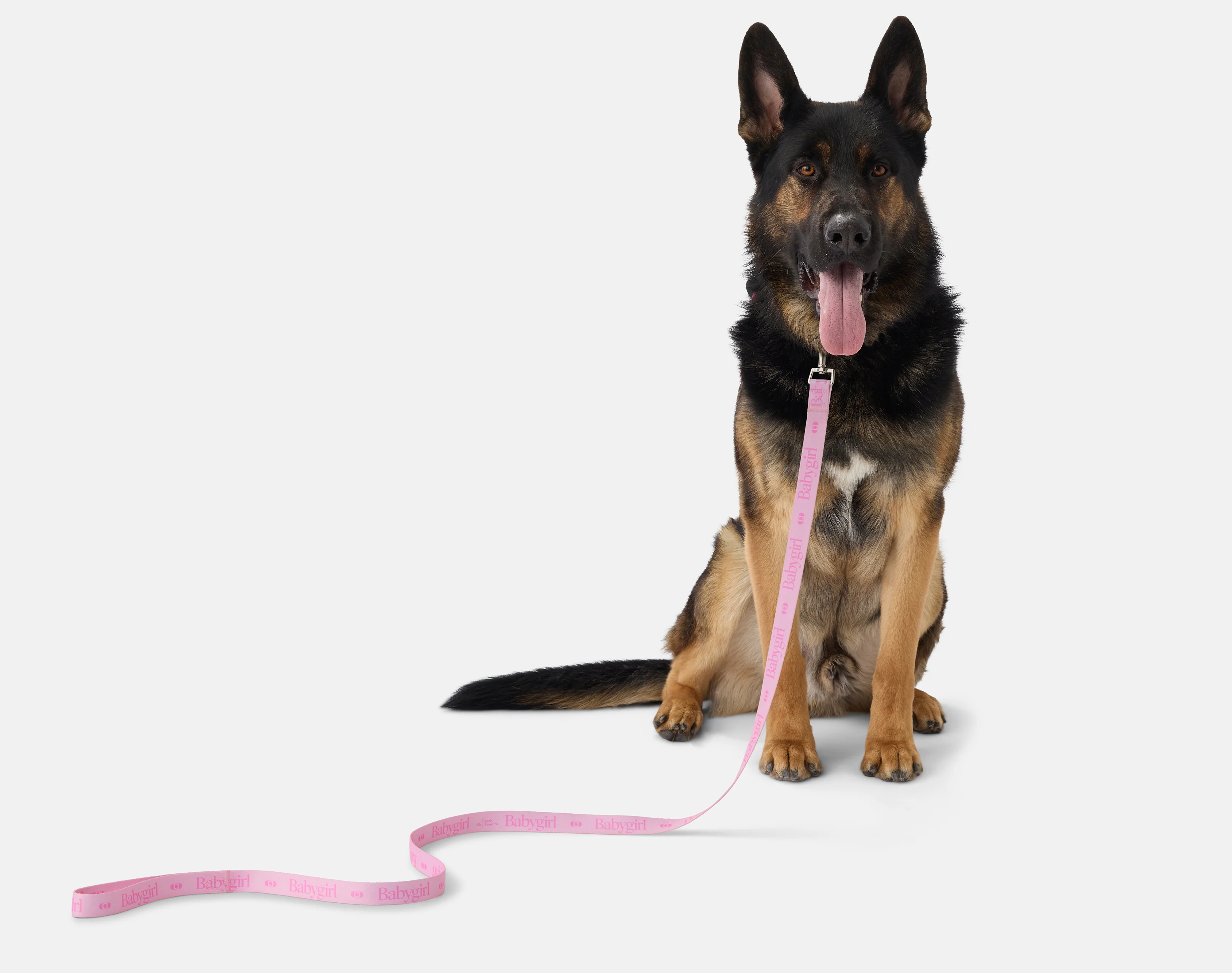 Babygirl x Sky Ferreira ‘Leash’ Leash - Image 4