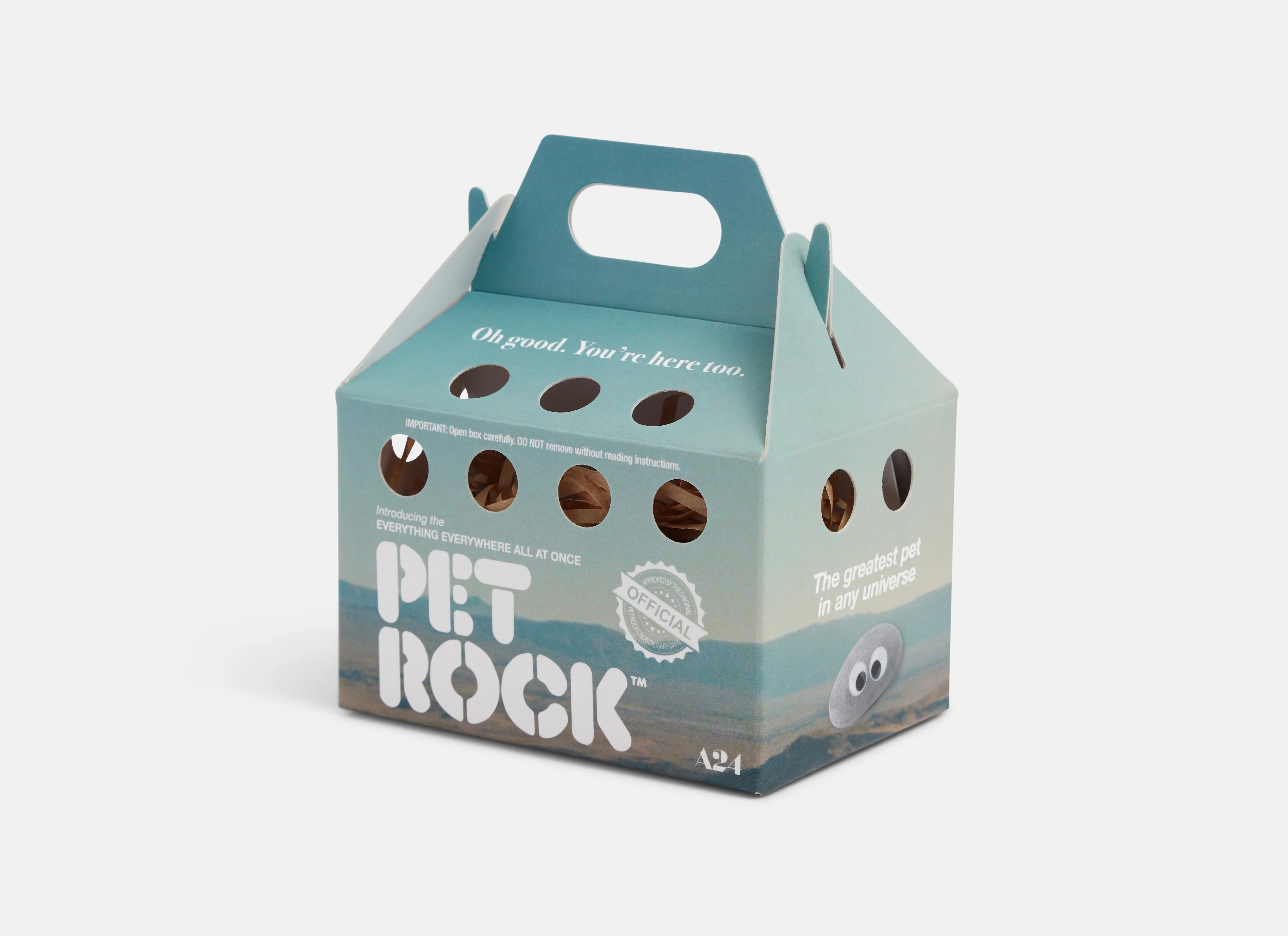 Everything Everywhere Pet Rock™ - Image 3