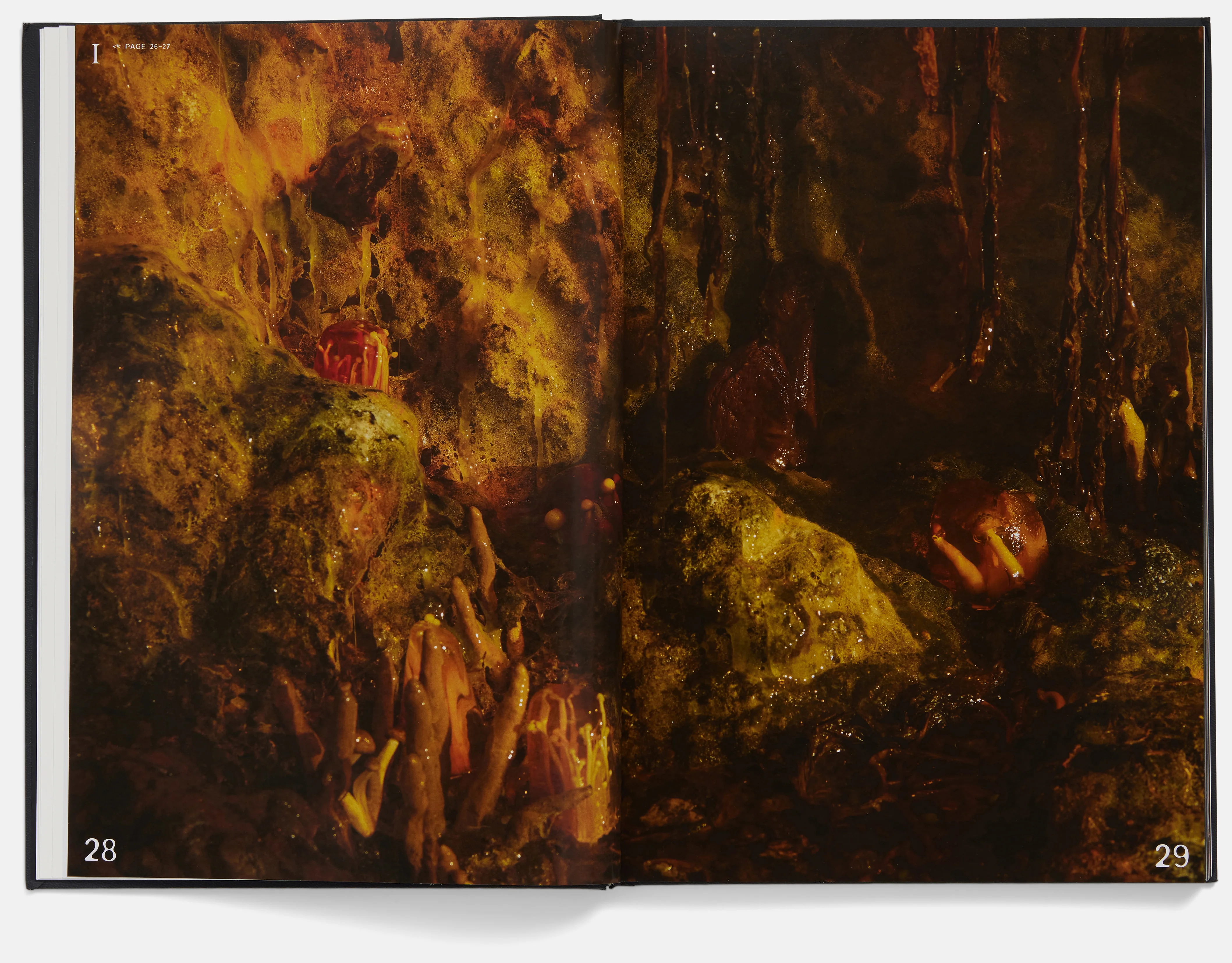 Horror Caviar: A Cookbook - Image 3