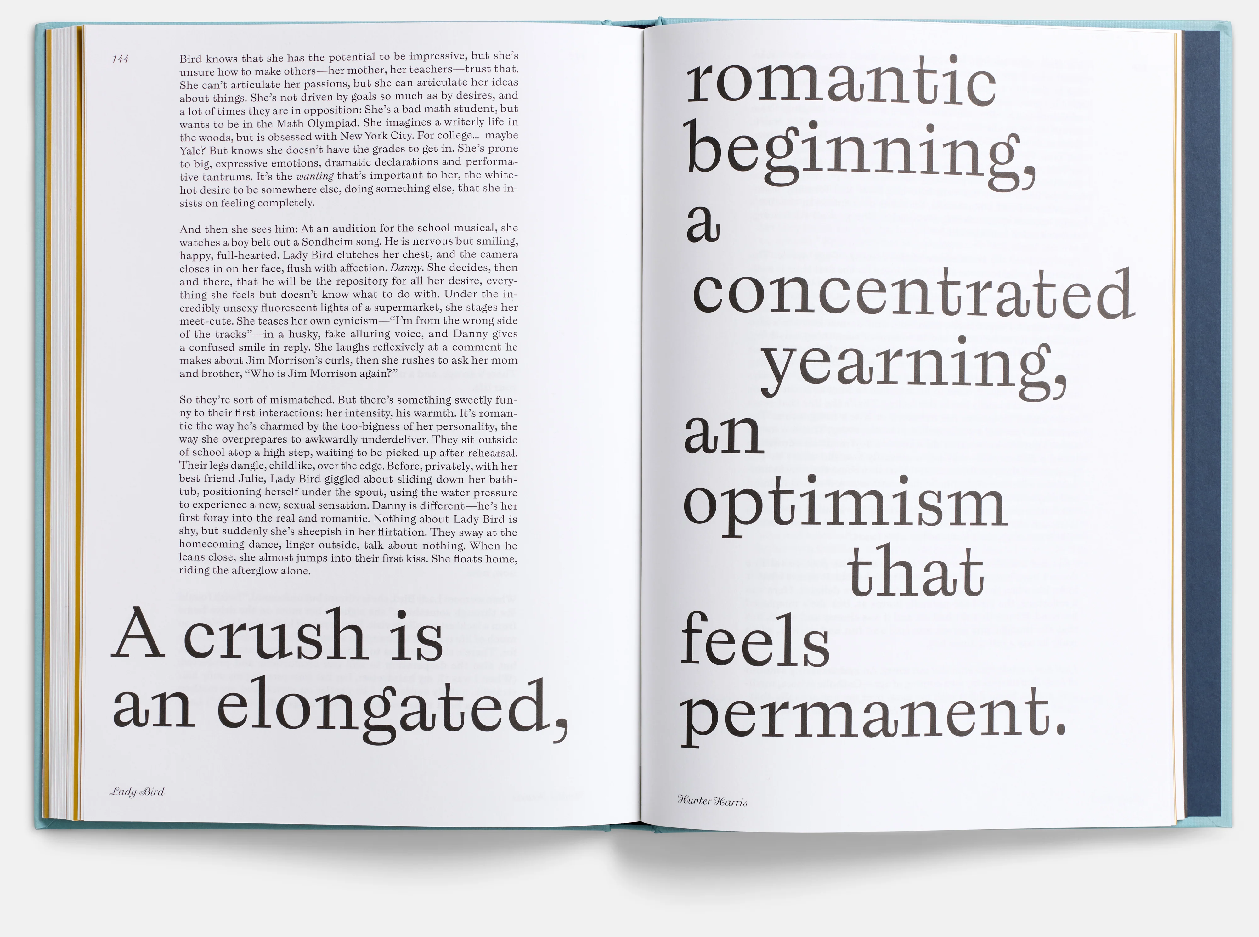 Lady Bird Screenplay Book - Image 5