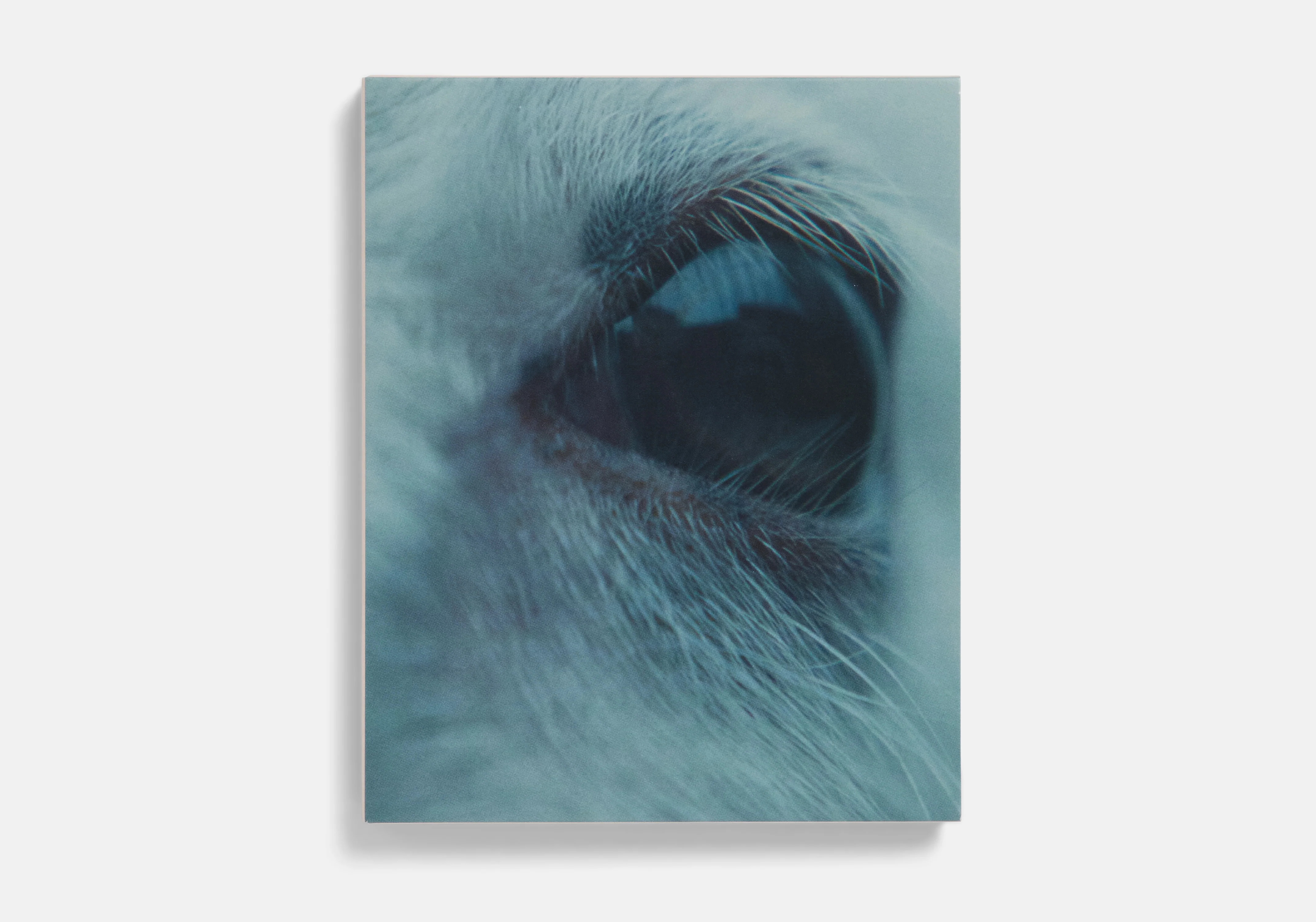 Lamb Blu-ray - Image 3