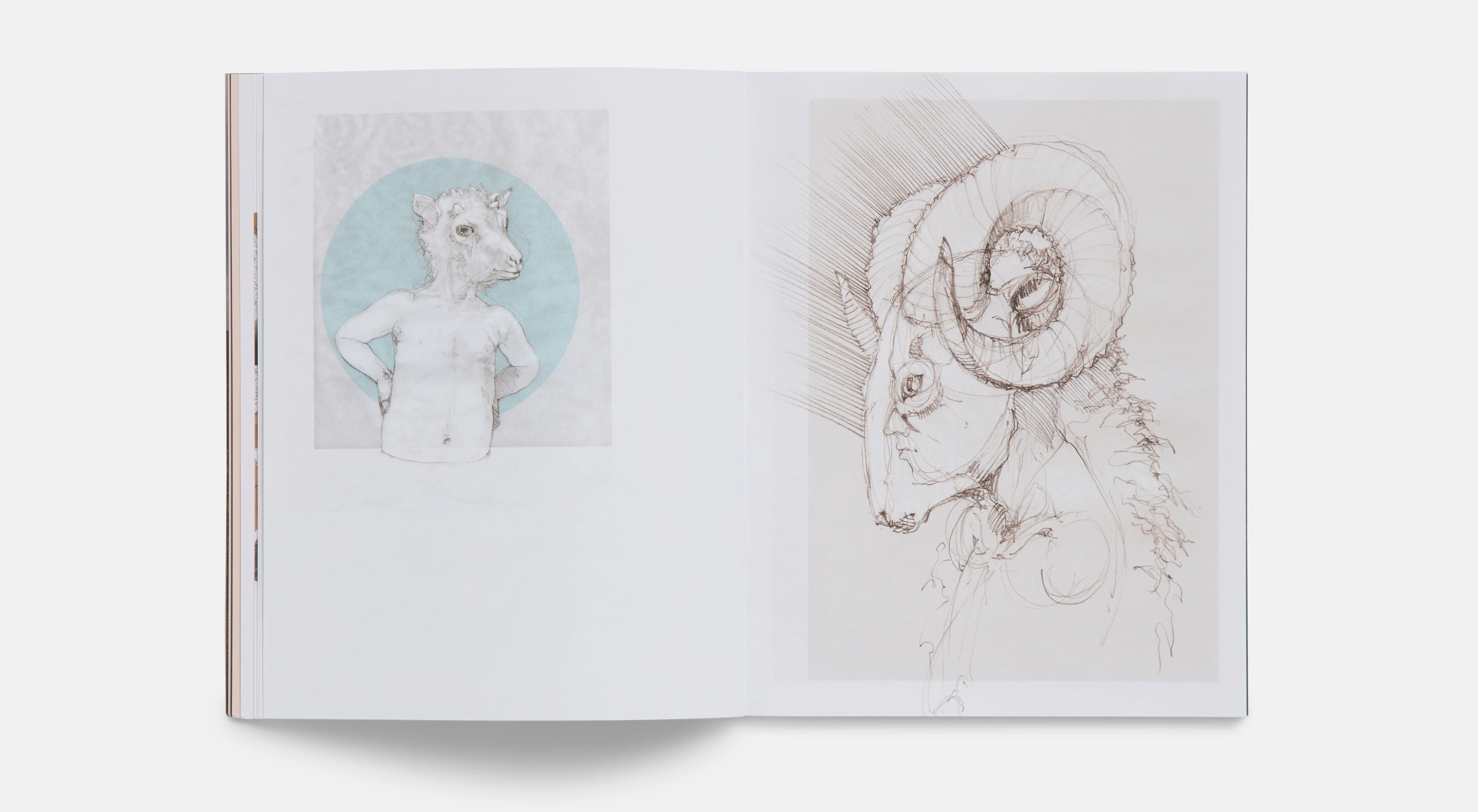 Lamb Blu-ray - Image 6