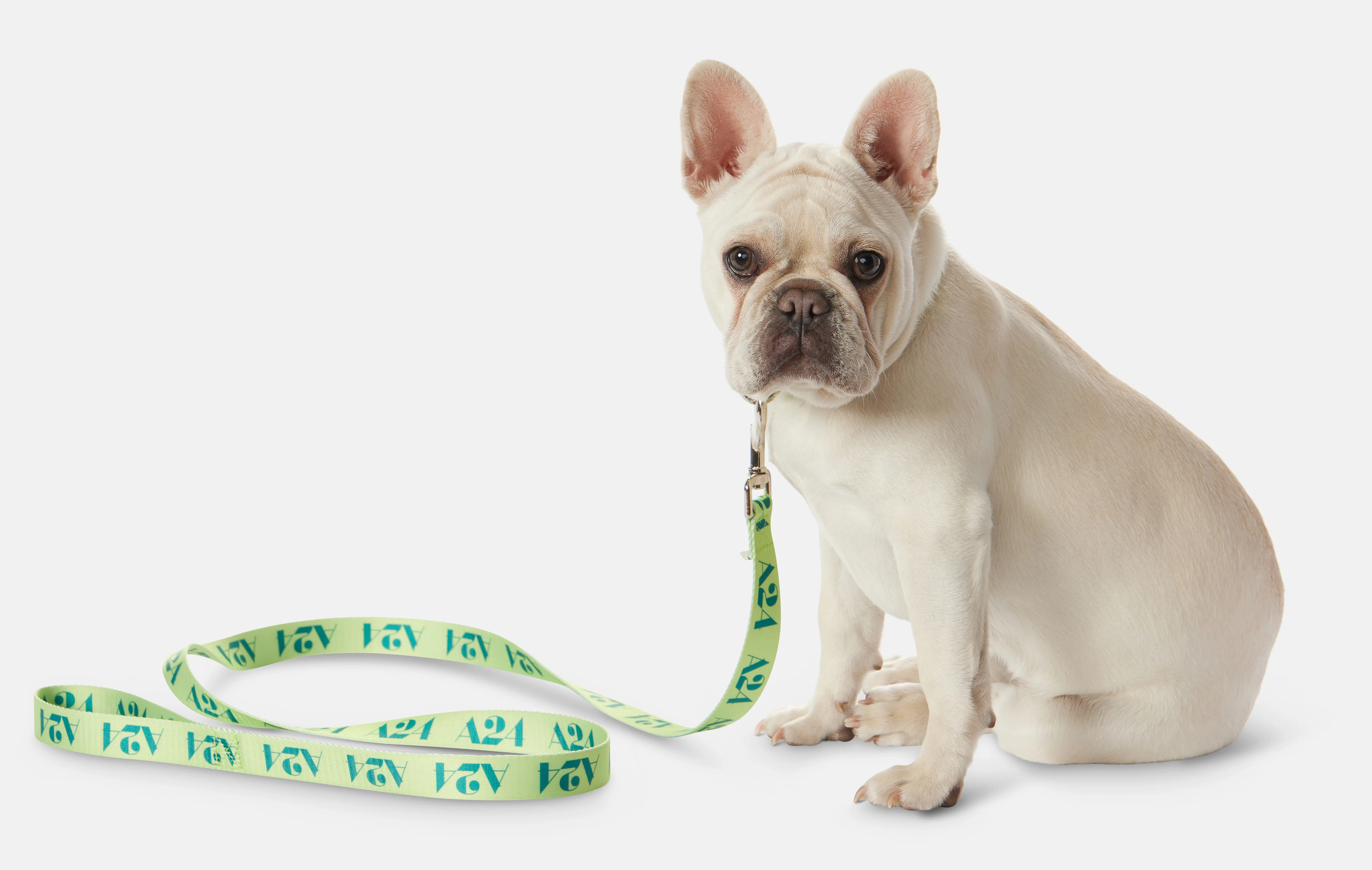 Logo Leash - Image 5