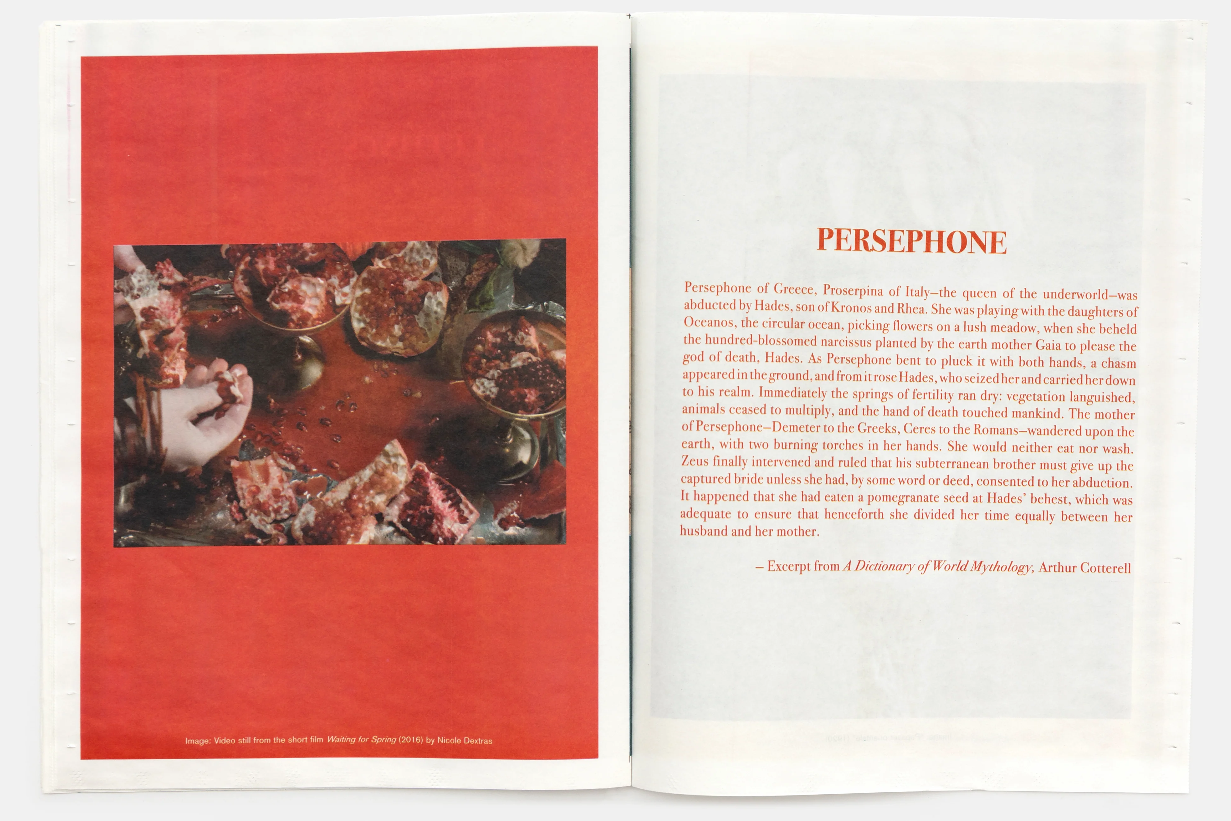 Seeds Zine by Claire Denis - Image 2