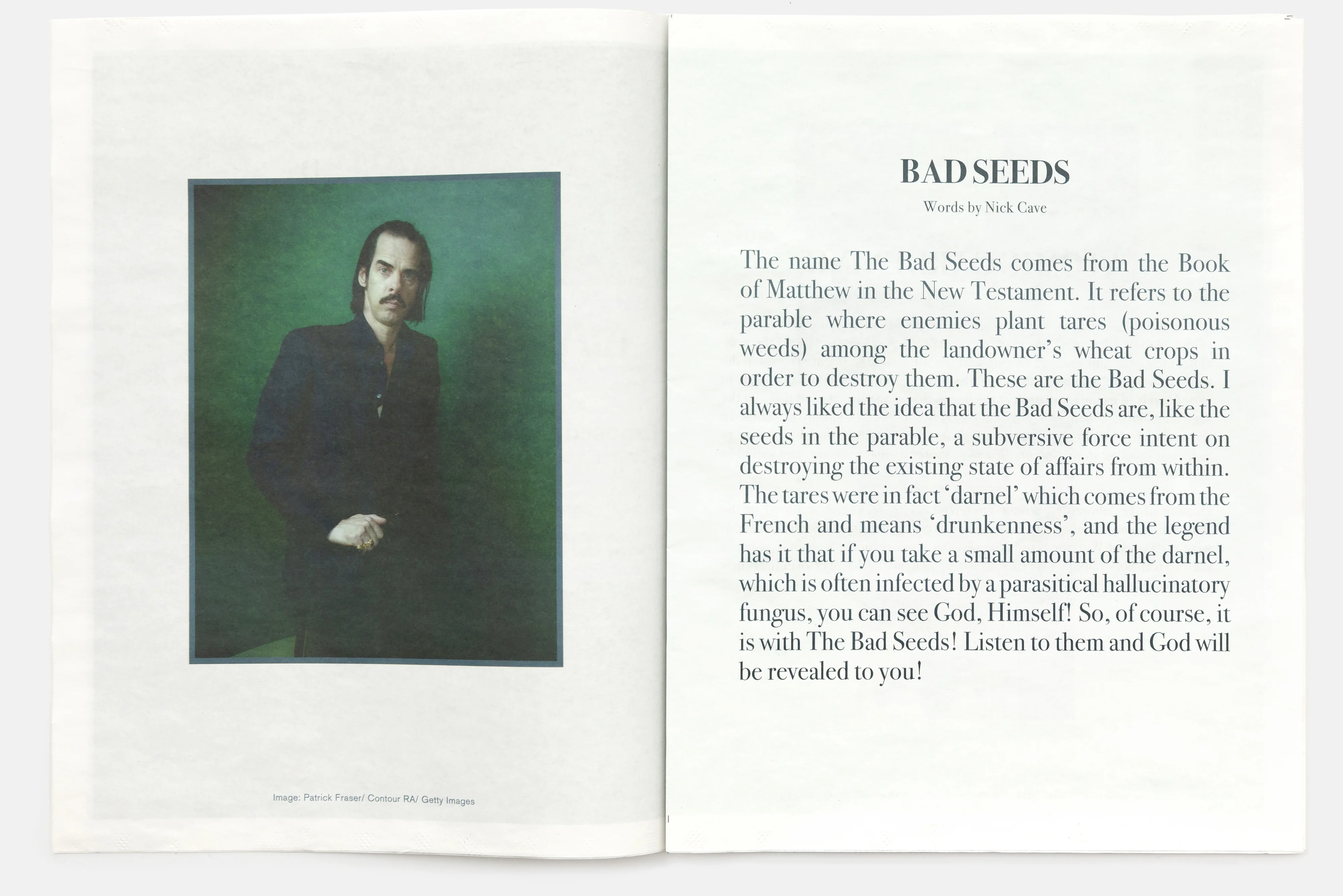 Seeds Zine by Claire Denis - Image 3