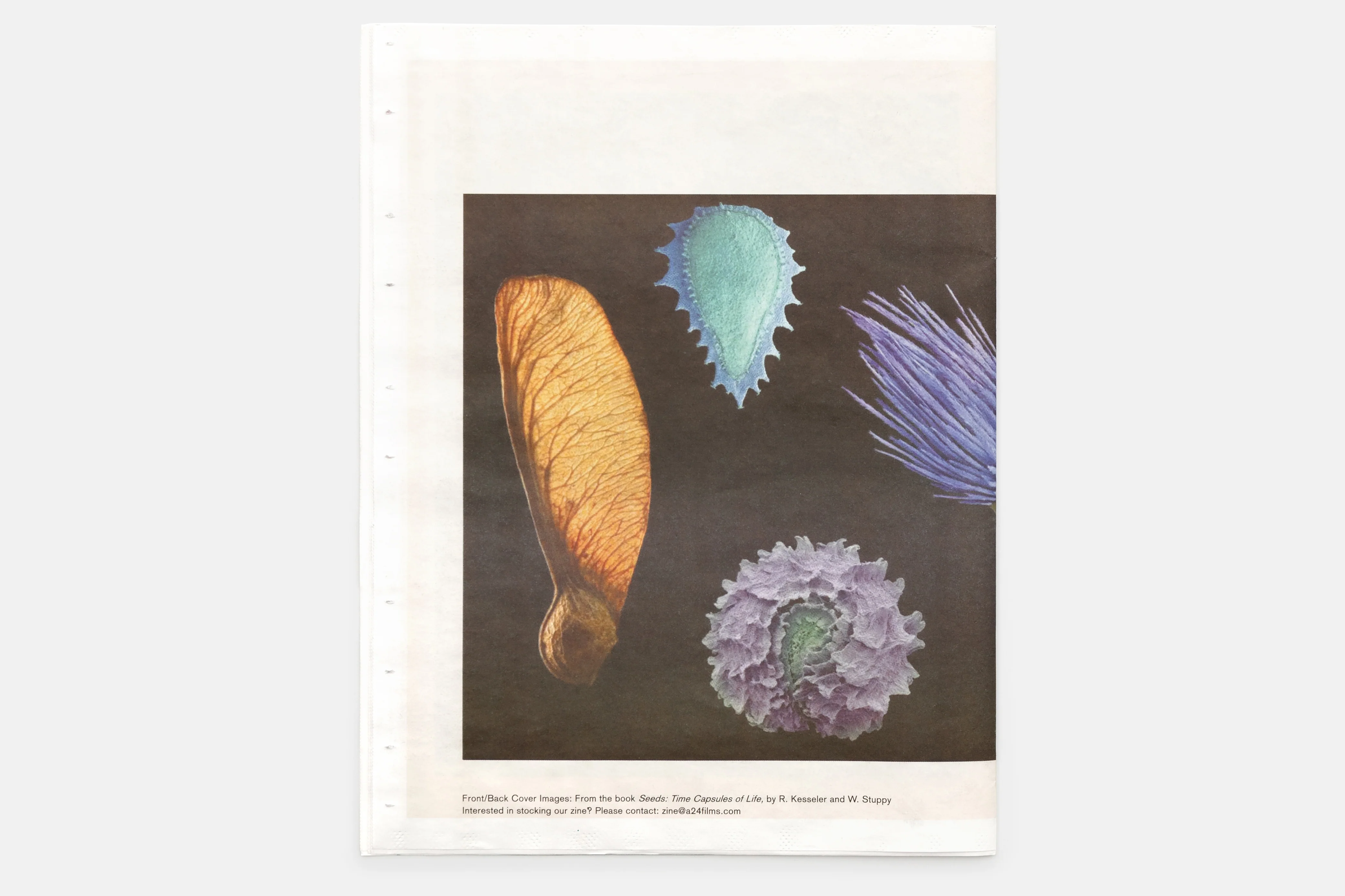 Seeds Zine by Claire Denis - Image 5