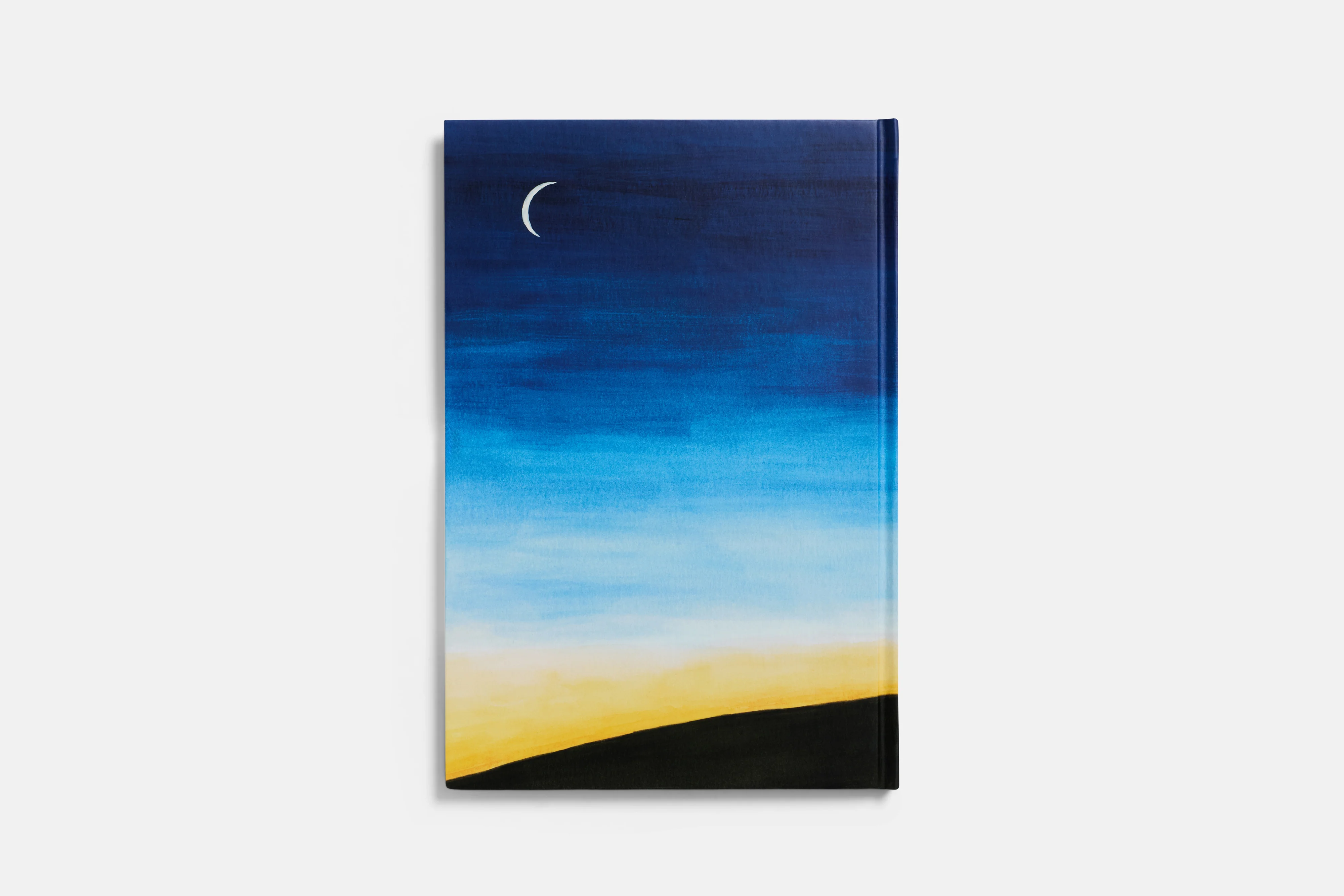 Star Child: Special Edition by Claire A. Nivola - Image 6