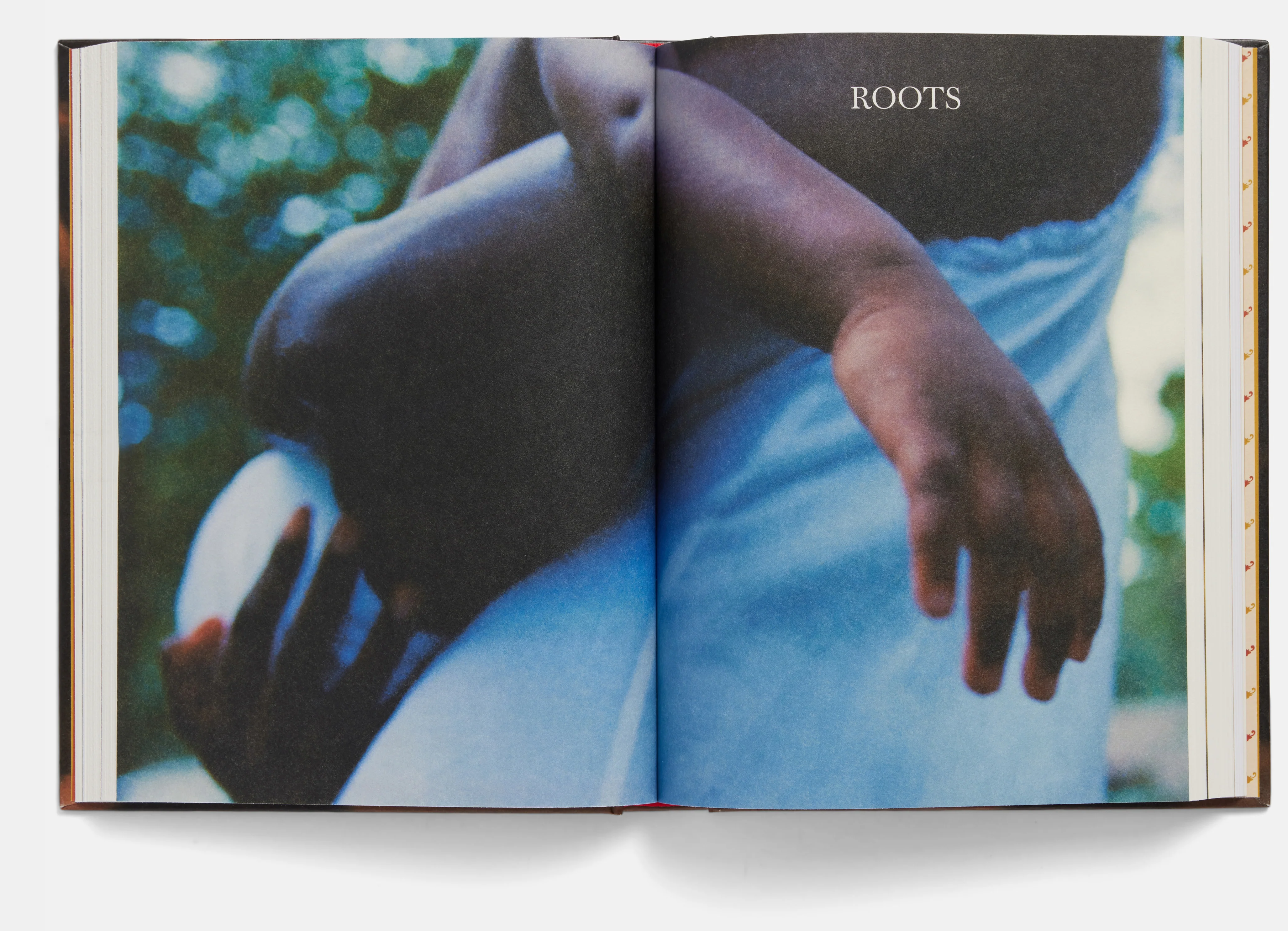 Stories From a Place Where All Dirt Roads Taste of Salt by Raven Jackson - Image 3