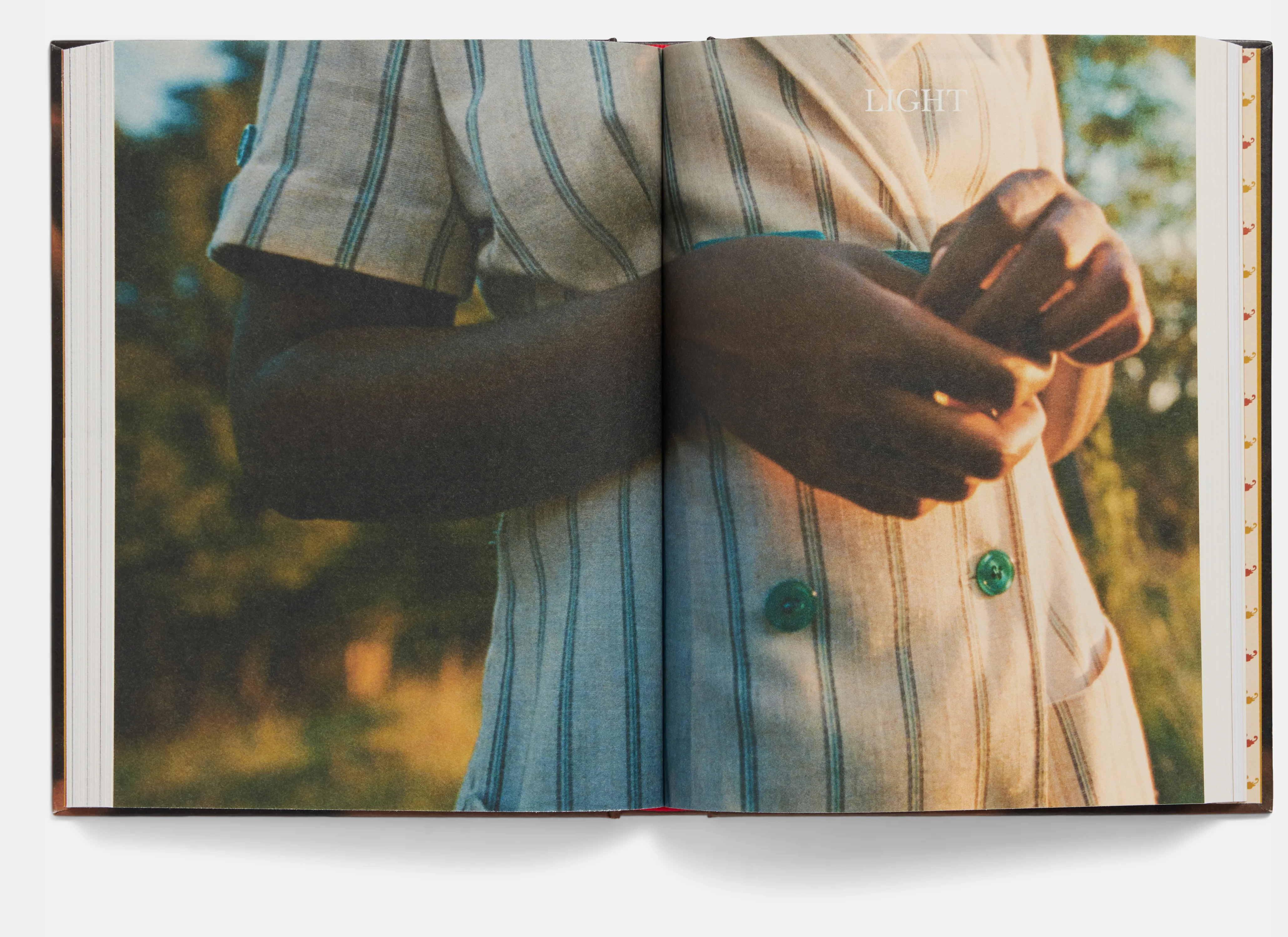 Stories From a Place Where All Dirt Roads Taste of Salt by Raven Jackson - Image 5