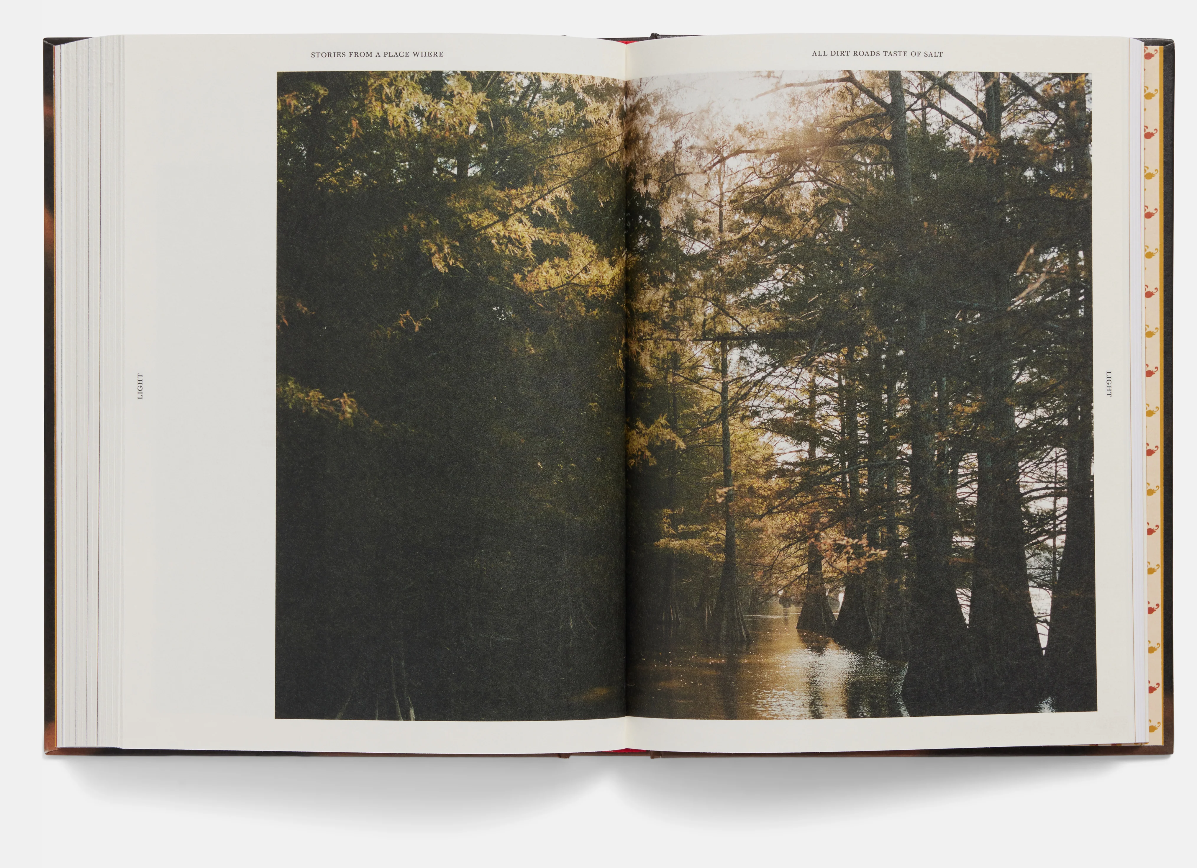 Stories From a Place Where All Dirt Roads Taste of Salt by Raven Jackson - Image 7