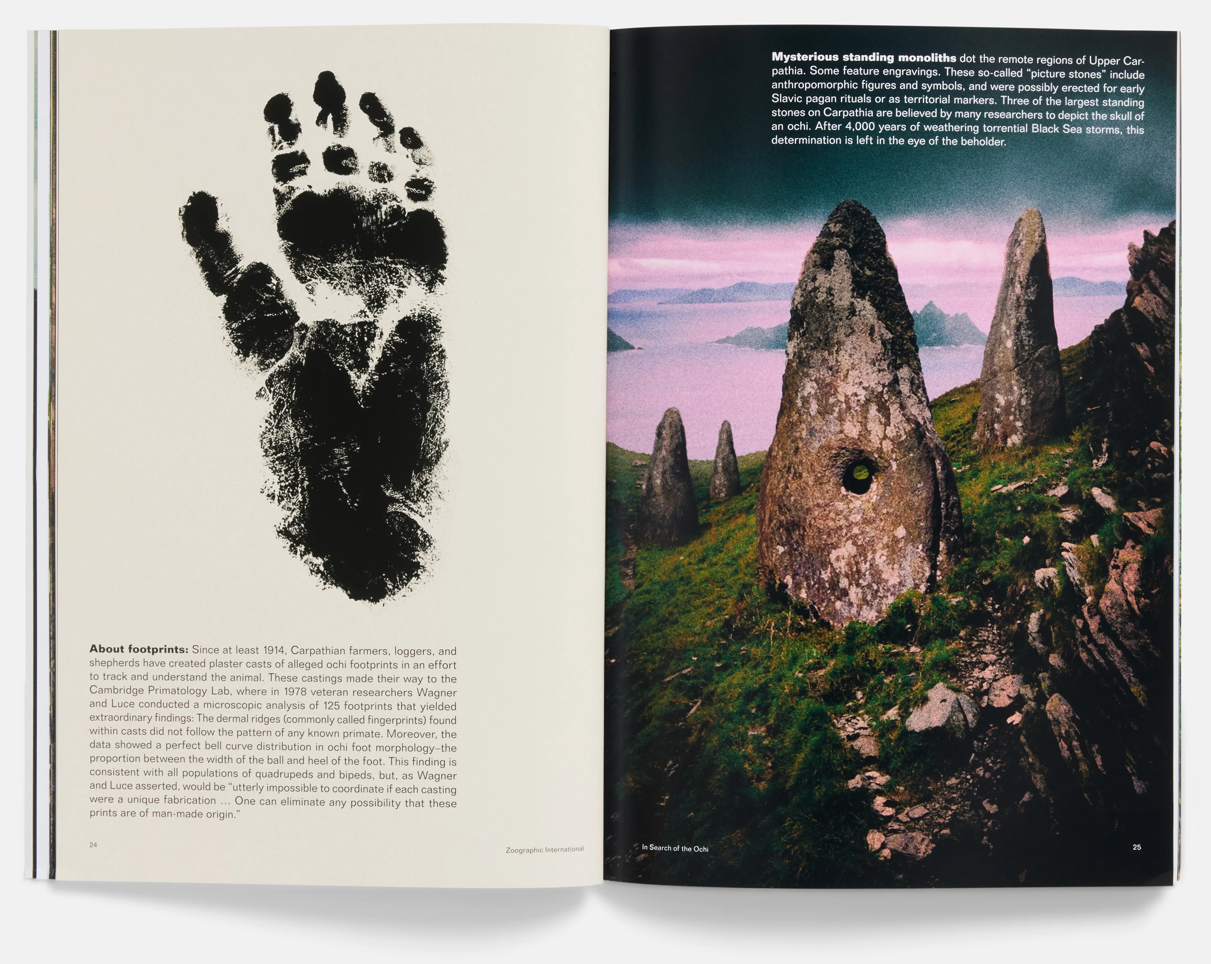 In Search of the Ochi Field Guide - Image 6